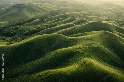 Aerial view of rolling hills covered in lush grass, emphasizing the smooth, flowing lines and gentle curves of the landscape.  photo