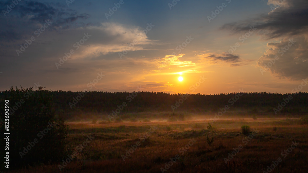 Summer sunrise or sunset on the field or forest. Summer landscape.