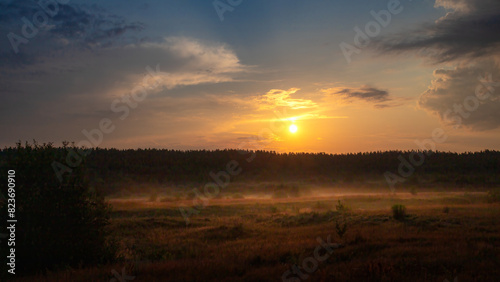 Summer sunrise or sunset on the field or forest. Summer landscape.