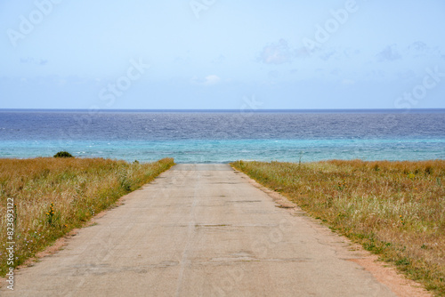 The natural reserve of Monte Cofano  Cofano Mountain    in Sicily  Italy  Europe