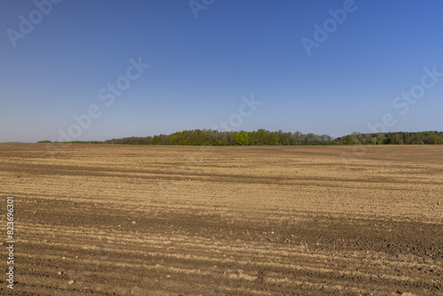 preparing the soil for sowing in spring