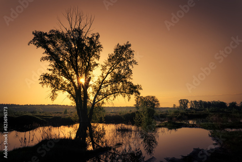 Scenic view of beautiful sunset or sunrise above the pond or lake at spring or early summer evening background and reed grass at foreground. Water reflection. © sergofan2015
