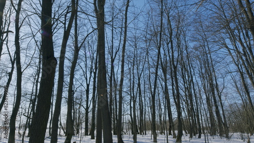 Spring Landscape In Forest. Spring Landscape With Thawed Patches And Melting Snow. Spring Coming.