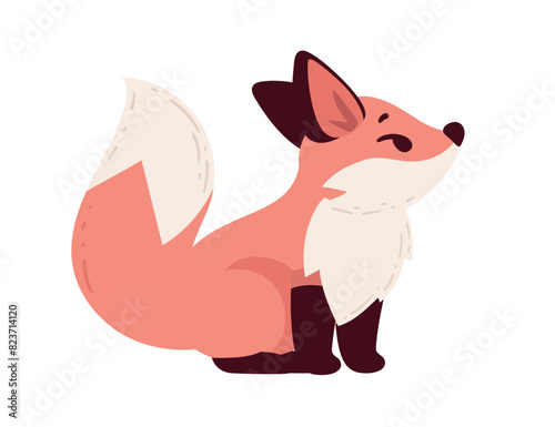 Cute red fox cartoon animal design vector illustration isolated on white background