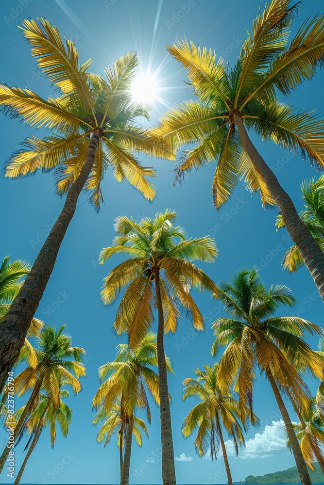 peaceful summer scene tall palm trees gently swaying under a clear blue sky, conveying a tranquil paradise vacation vibe peaceful summer scene tall palm trees gently swaying under a clear blue sky, conveying a tranquil paradise vacation vibe