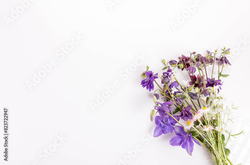 Bouquet of blue and purple flowers with daisies on a white background  symbol of summer  meadow flowers  wildflowers