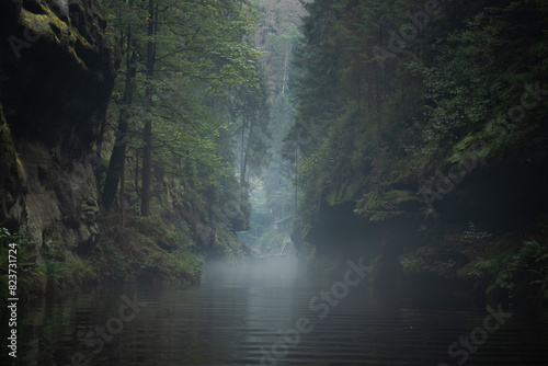 Pure nature, landscape shot in a gorge with a river. European forest in Hřensko, Kamnitzklamm, Bohemian Switzerland, Czech Republic photo