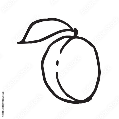 Apricot fruit with leaf hand drawn vector illustration on isolated white