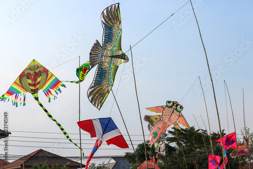 kites are flying at thailand countryside