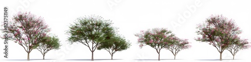 Detailed 3D model of a Chilopsis linearis tree in an isolated environment photo