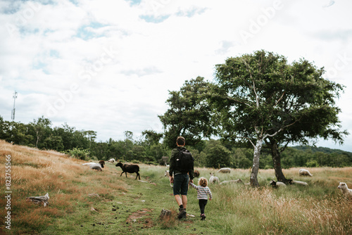 Father and child with sheep in meadow photo