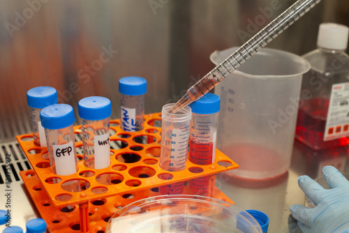 scientific research, test tubes closeup in scientific laboratory