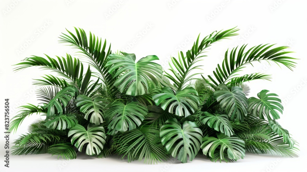 Green palm foliage cut out white background