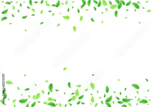Light Green Foliage Background White Vector. Leaves Flavor Card. Cosmetic Illustration. Greenish Growing Texture. Greenery Environmental.