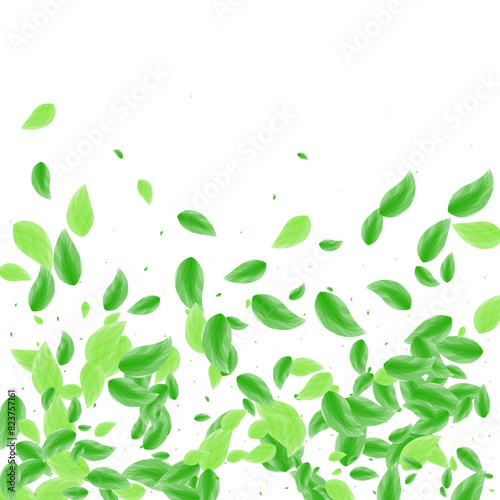 Green Plant Background White Vector. Sheet Environment Frame. Elegant Card. Greenish Subtle Texture. Vegetation Light.
