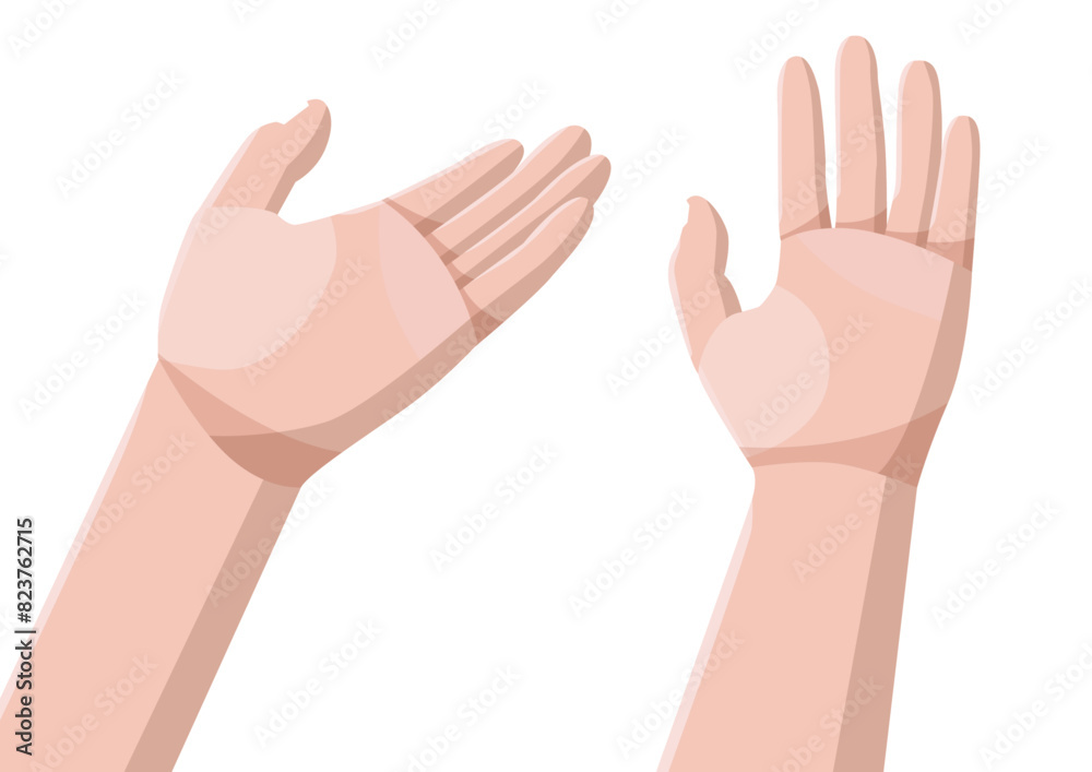 hand isolated on white background illustration vector
hand isolated on white background illustration vector