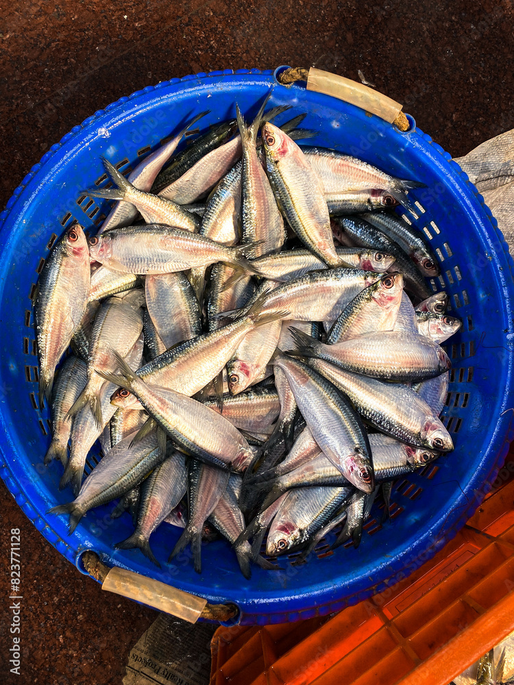Fresh Catch Fresh Catch