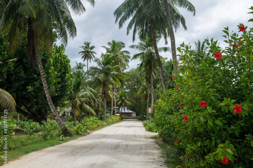 Beautiful vegetation surrounding dirt road on Ladigue Beautiful vegetation surrounding dirt road on Ladigue