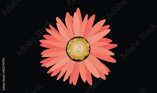 Panorama spring flowers pattern. Flowers wild violets pattern on a white background. Full Bloom trend. Flat lay style.
