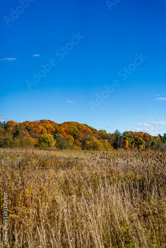 autumn landscape with sky