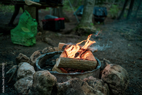 campfire in the forest