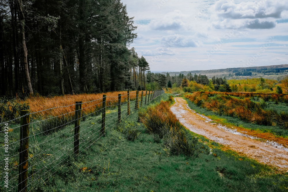Scenic rural path through lush greenery and vibrant fields, bordered by a fence with dense forest, under a cloudy sky. Scenic rural path through lush greenery and vibrant fields, bordered by a fence with dense forest, under a cloudy sky.