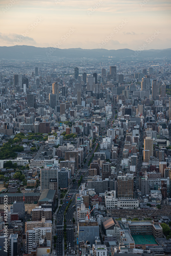 Fototapeta premium Tokyo cityscape