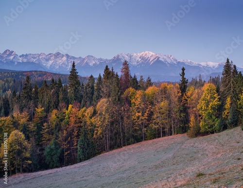 Beautiful sunset on the meadow under the Tatra Mountains at autumn. Poland landscape. © Ivan