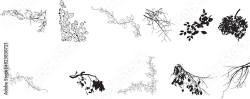 silhouette vines tropical plant drawing, Side view