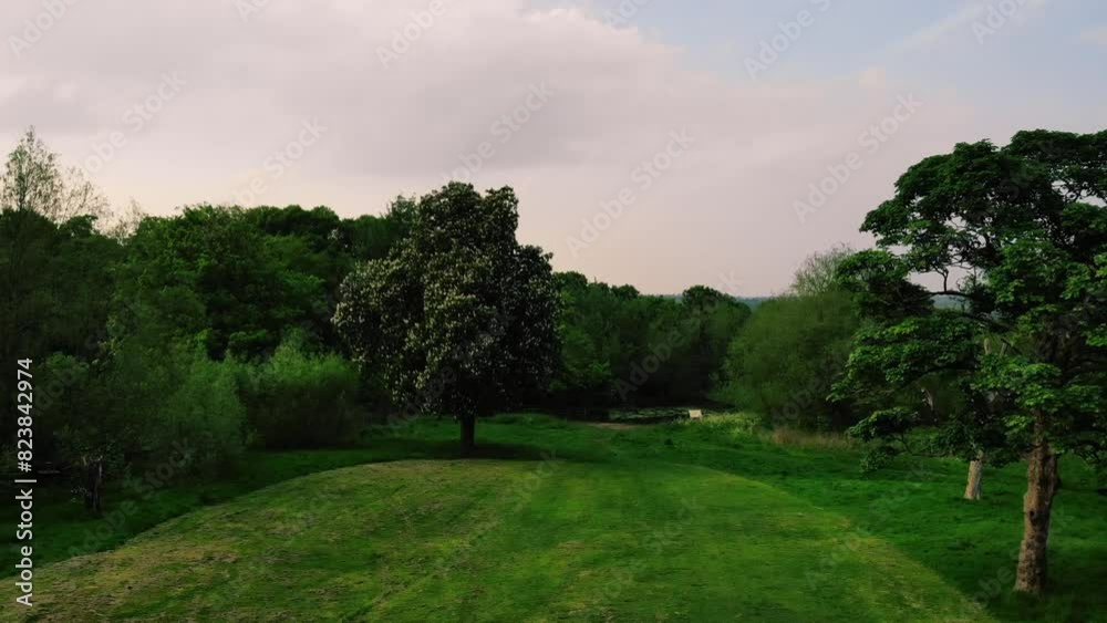 Park lawn grass with tall trees woodland in England wide aerial Park lawn grass with tall trees woodland in England wide aerial
