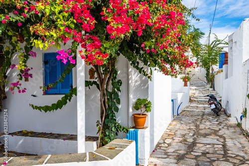 White Greek house decorated with bougainvillea flowers in narrow street or Artemonas village  Sifnos island  Greece