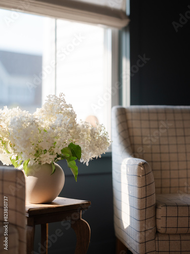 Armchair next to a window in a dark room photo