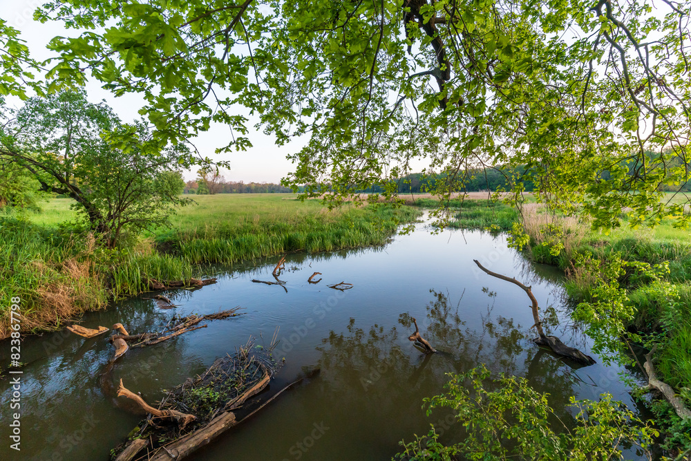 Fototapeta premium Beautiful lake landscape with green trees