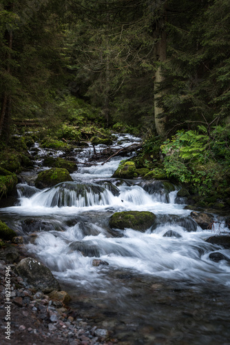 waterfall in the forest