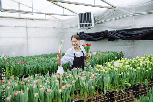 Working in a tulip greenhouse