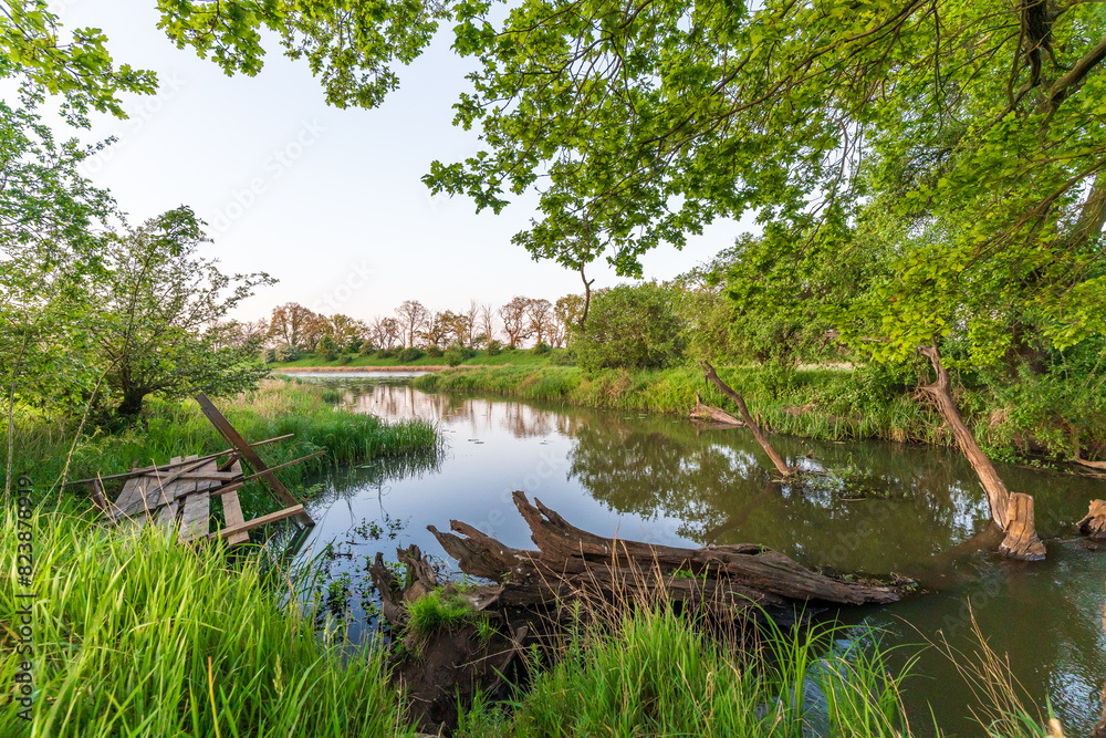 Beautiful lake landscape with green trees Beautiful lake landscape with green trees