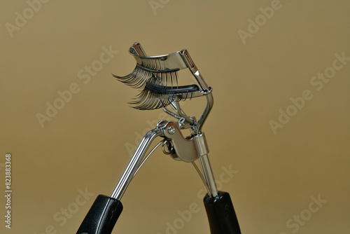 pair of fake eyelashes in an eyelash curler