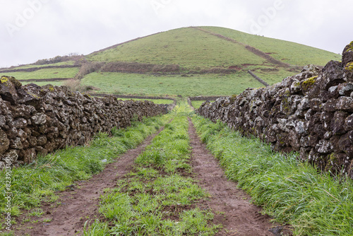 Stone walls and fields on Terceira Island, Azores.