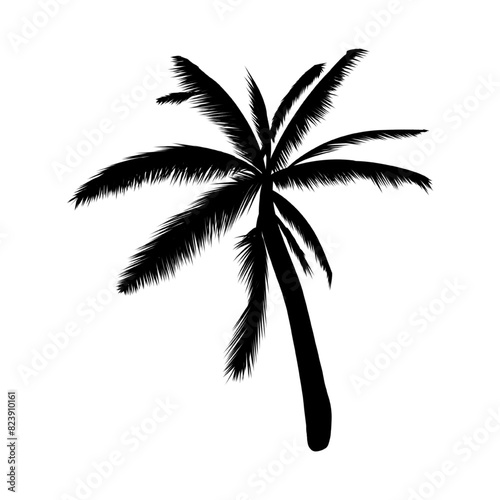 vector black palm icon on white background