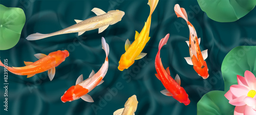 3d realistic koi fish top view. Koi carps and lotuses in the water. Vector illustration