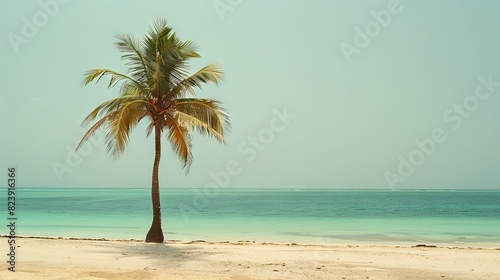 Solitude  A Palm Tree Dancing on a Beach With Crystal Blue Waters