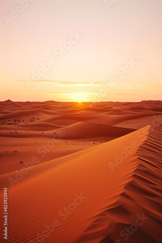 Sunset over desert with sand dunes and trees in the distance