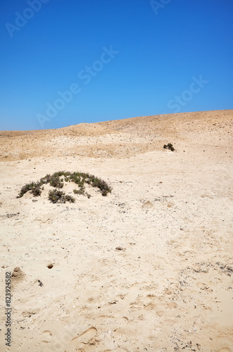 Egypt desert landscape with a blue sky. © MaciejBledowski