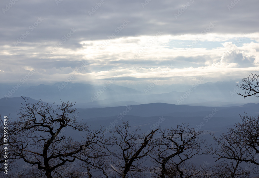 morning in a natural park, mountainous area panorama of forests and glades with vegetation morning in a natural park, mountainous area panorama of forests and glades with vegetation