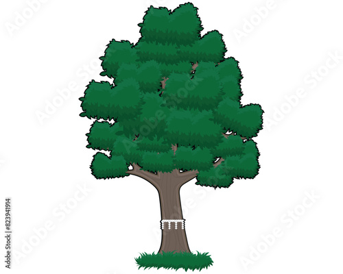 vector of a tree with thick green leaves with a little grass below near the roots of the tree and there is a rope or something tied to the trunk of the tree which is usually found in Japanese temples