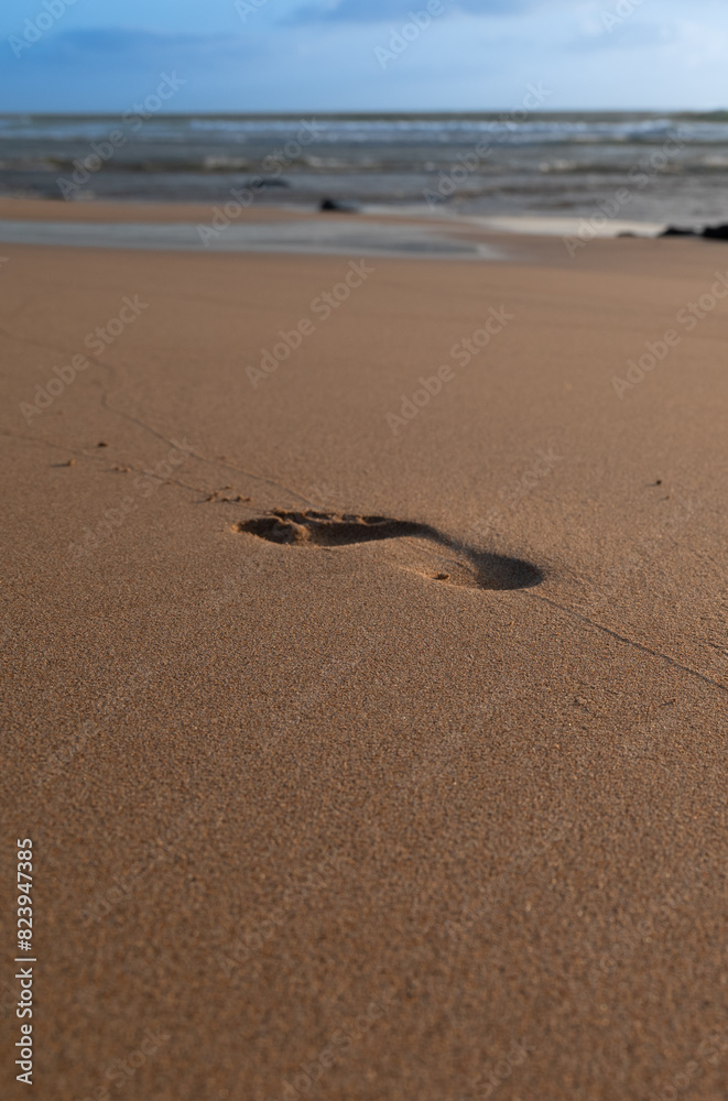 A foot print is in the sand on a beach. The sand is brown and the sky is blue A foot print is in the sand on a beach. The sand is brown and the sky is blue