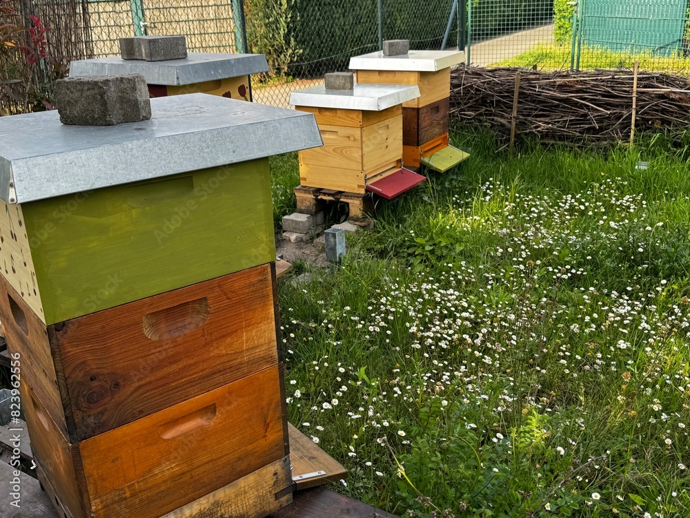 Colorful beehives with bees flying in and out of their entrances, set in a grassy field, showcasing the activity of the hives and the vibrant, painted hive fronts.