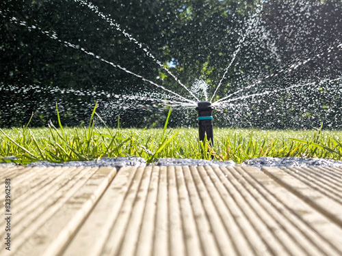 A sprinkler waters a lush green lawn in a garden