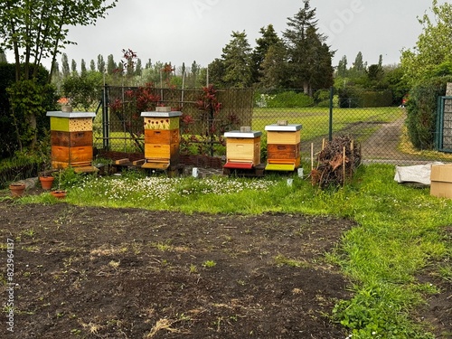 Colorful beehives in a garden with blooming flowers, highlighting the beekeeping environment and the natural habitat for bees.
