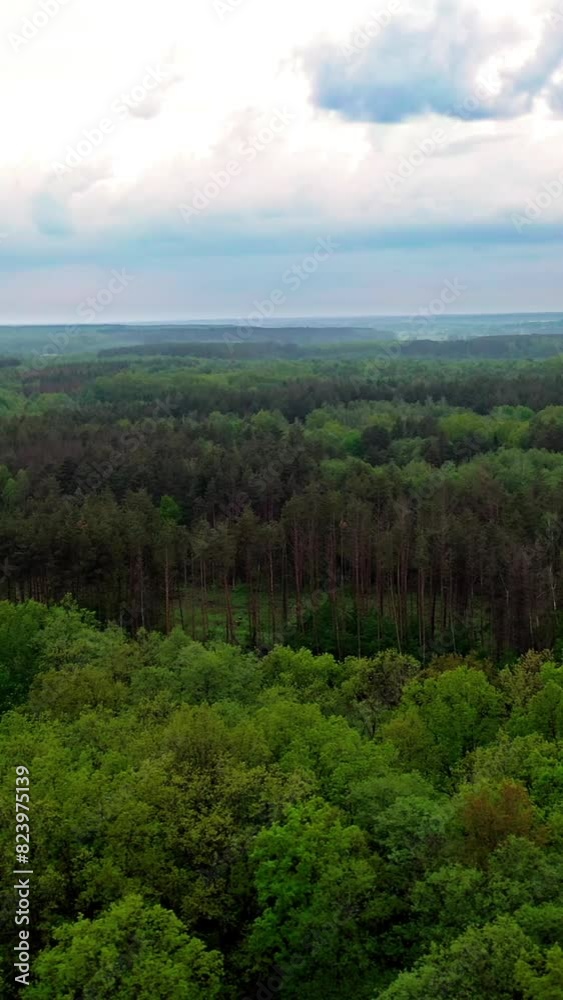 Flying over the tops of trees. Beautiful landscape of peaceful atmosphere among green trees of a forest outdoors. Aerial view. Camera moves left. Vertical video Flying over the tops of trees. Beautiful landscape of peaceful atmosphere among green trees of a forest outdoors. Aerial view. Camera moves left. Vertical video